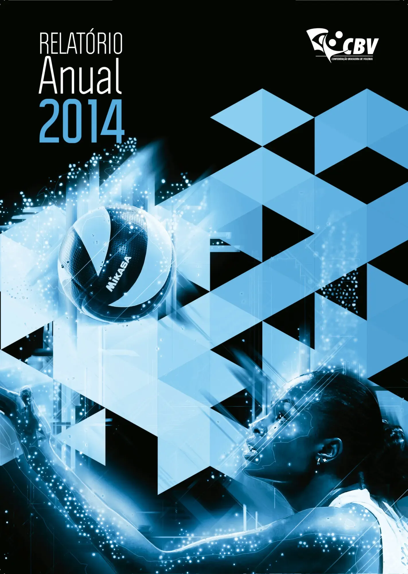 Capa do relatório 2014