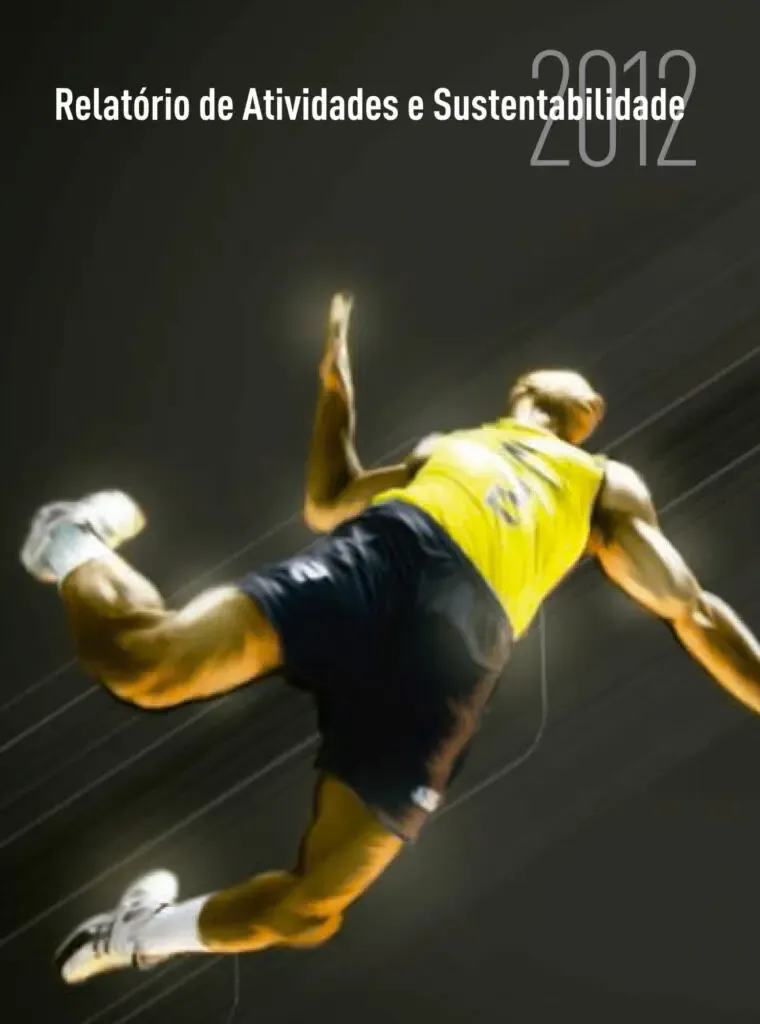 Capa do relatório 2012